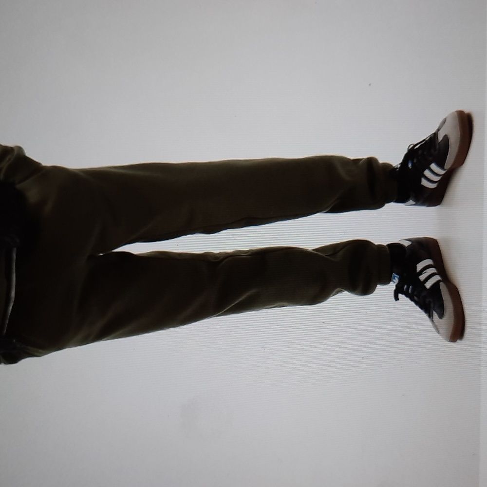 MENS JOGGERS NWT GAP  LARGE   31 inch inseam